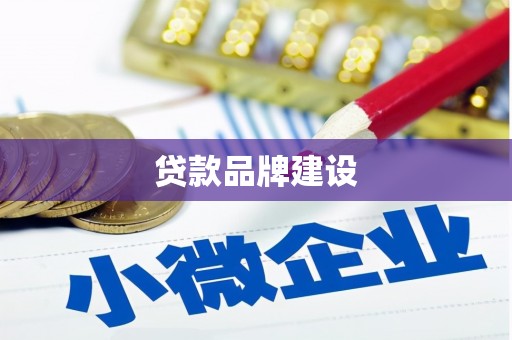 凤阳贷款品牌建设