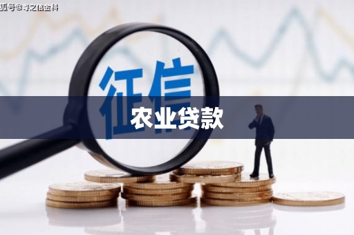 凤阳农业贷款