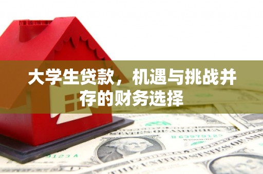 凤阳大学生贷款，机遇与挑战并存的财务选择