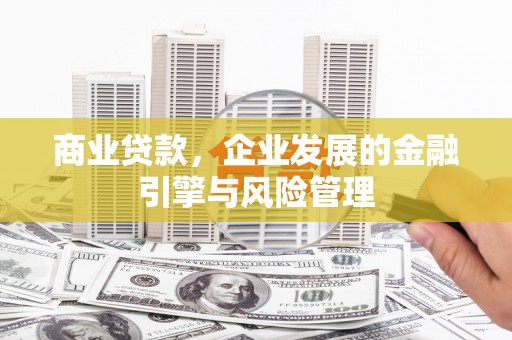 凤阳商业贷款，企业发展的金融引擎与风险管理