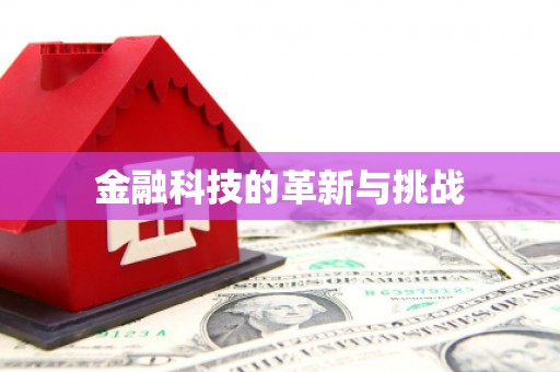 凤阳金融科技的革新与挑战