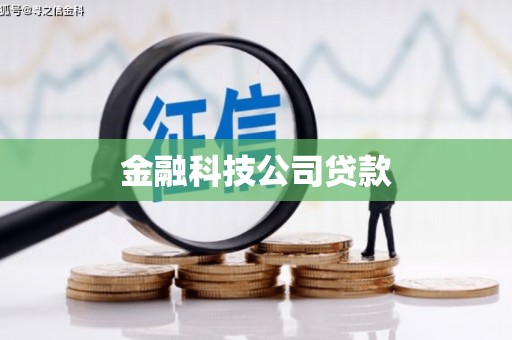 凤阳金融科技公司贷款