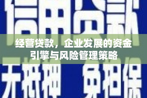 凤阳经营贷款，企业发展的资金引擎与风险管理策略