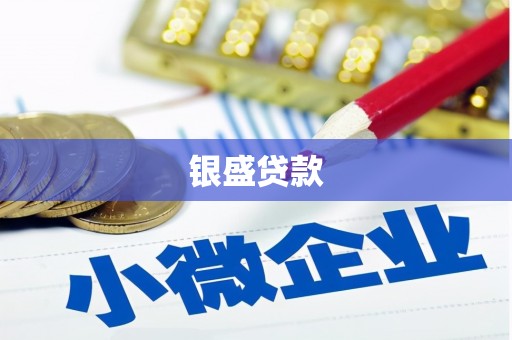 凤阳银盛贷款