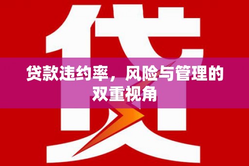 凤阳贷款违约率，风险与管理的双重视角