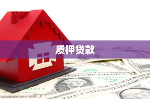 凤阳质押贷款