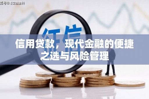 凤阳信用贷款，现代金融的便捷之选与风险管理
