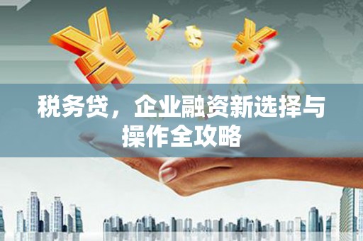 凤阳税务贷，企业融资新选择与操作全攻略