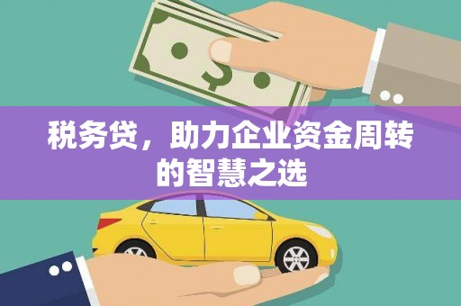 凤阳税务贷，助力企业资金周转的智慧之选