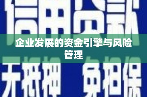 凤阳企业发展的资金引擎与风险管理