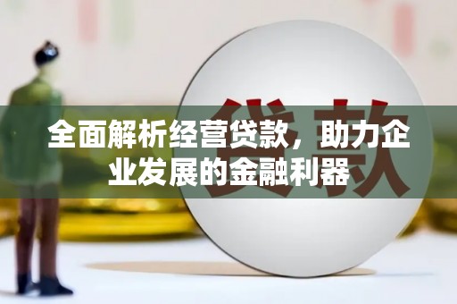 凤阳全面解析经营贷款，助力企业发展的金融利器