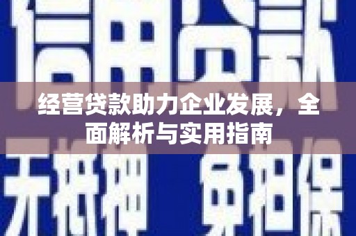 凤阳经营贷款助力企业发展，全面解析与实用指南