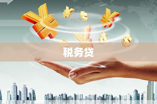 凤阳税务贷