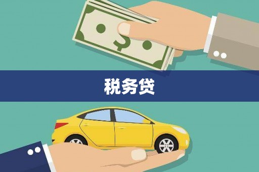 凤阳税务贷