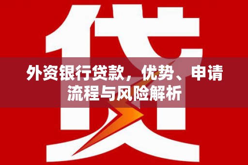 凤阳外资银行贷款，优势、申请流程与风险解析