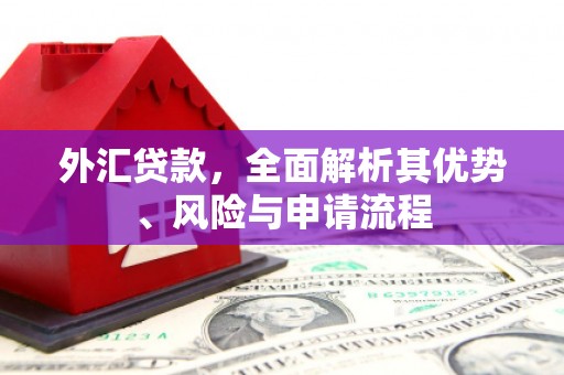 凤阳外汇贷款，全面解析其优势、风险与申请流程