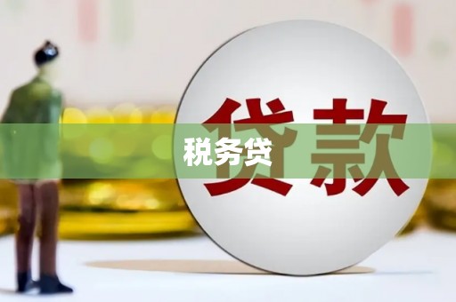 凤阳税务贷