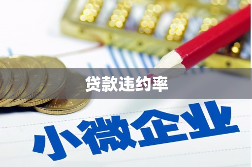 凤阳贷款违约率