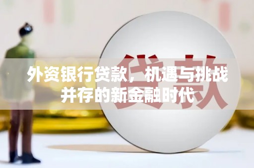 凤阳外资银行贷款，机遇与挑战并存的新金融时代