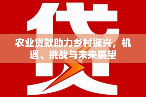 凤阳农业贷款助力乡村振兴，机遇、挑战与未来展望