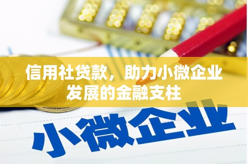 凤阳信用社贷款，助力小微企业发展的金融支柱