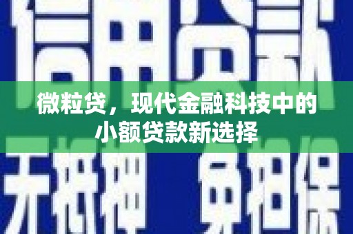 凤阳微粒贷，现代金融科技中的小额贷款新选择