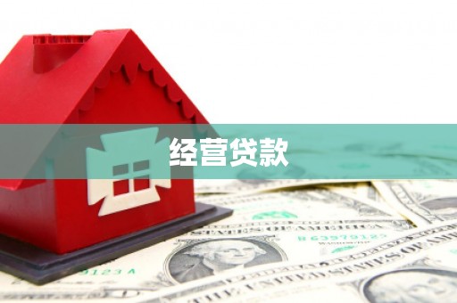 凤阳经营贷款