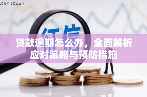 凤阳贷款逾期怎么办，全面解析应对策略与预防措施