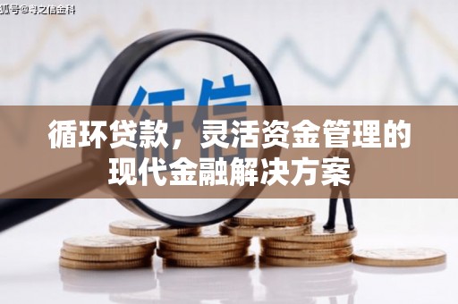 凤阳循环贷款，灵活资金管理的现代金融解决方案