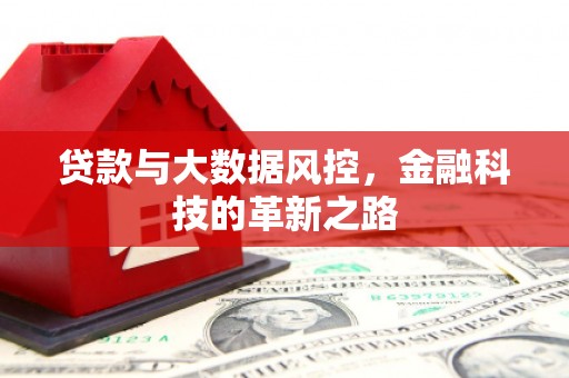 凤阳贷款与大数据风控，金融科技的革新之路
