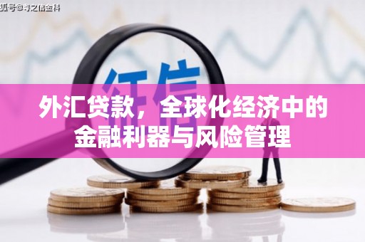 凤阳外汇贷款，全球化经济中的金融利器与风险管理