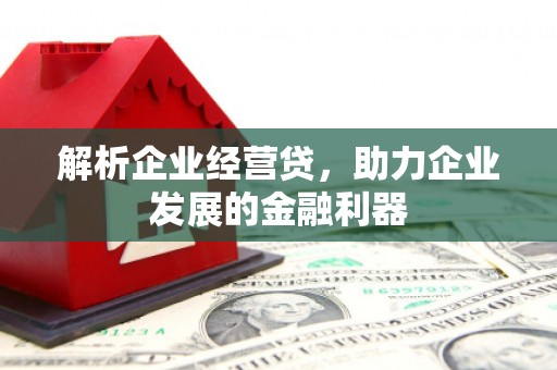 凤阳解析企业经营贷，助力企业发展的金融利器