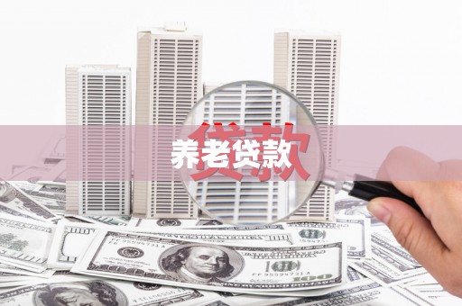 凤阳养老贷款