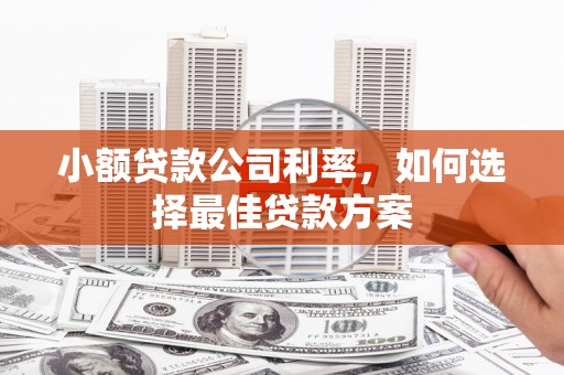 凤阳小额贷款公司利率，如何选择最佳贷款方案