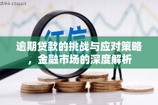 凤阳逾期贷款的挑战与应对策略，金融市场的深度解析