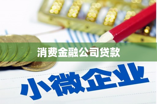 凤阳消费金融公司贷款