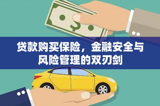 凤阳贷款购买保险，金融安全与风险管理的双刃剑
