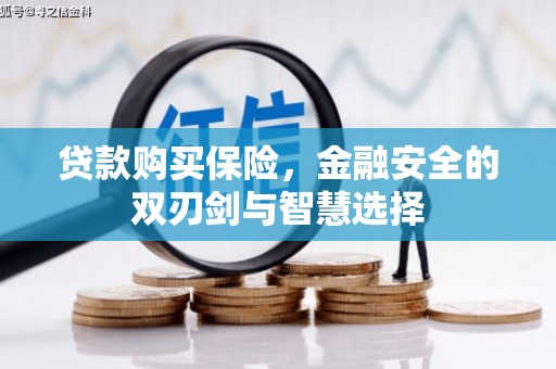凤阳贷款购买保险，金融安全的双刃剑与智慧选择