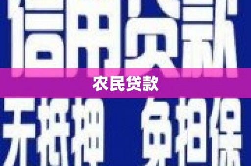 凤阳农民贷款