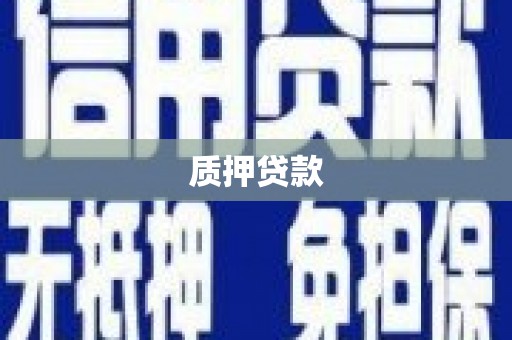 凤阳质押贷款