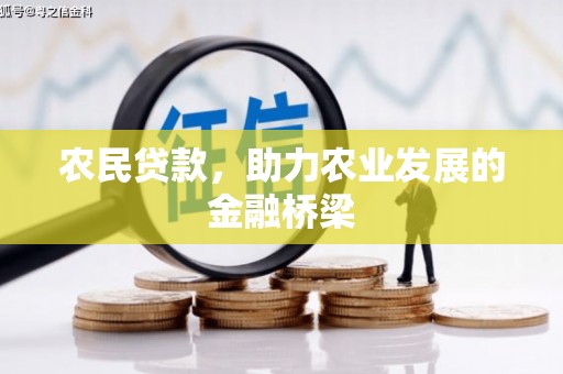 凤阳农民贷款，助力农业发展的金融桥梁