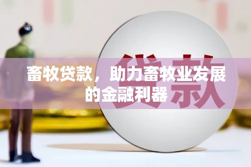 凤阳畜牧贷款，助力畜牧业发展的金融利器