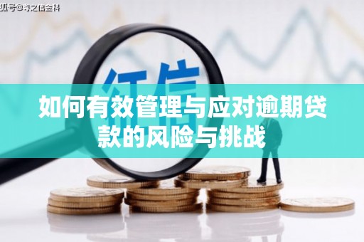 凤阳如何有效管理与应对逾期贷款的风险与挑战