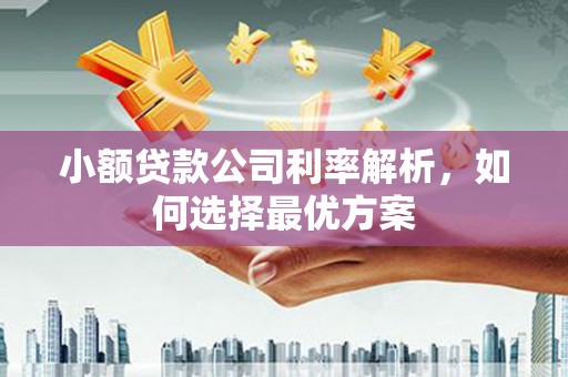 凤阳小额贷款公司利率解析，如何选择最优方案