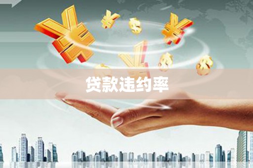 凤阳贷款违约率