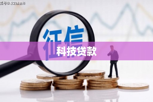 凤阳科技贷款