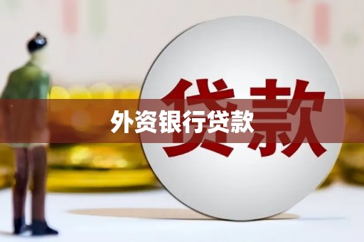 凤阳外资银行贷款