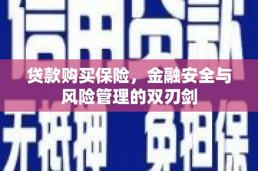 凤阳贷款购买保险，金融安全与风险管理的双刃剑