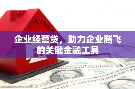 凤阳企业经营贷，助力企业腾飞的关键金融工具