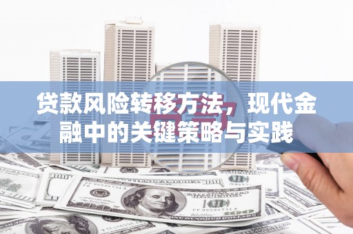 凤阳贷款风险转移方法，现代金融中的关键策略与实践